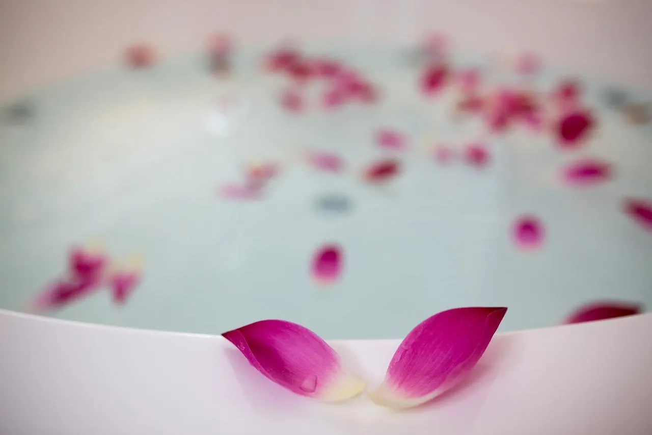 Sen Boutique Hotel Da Nang Vietnam